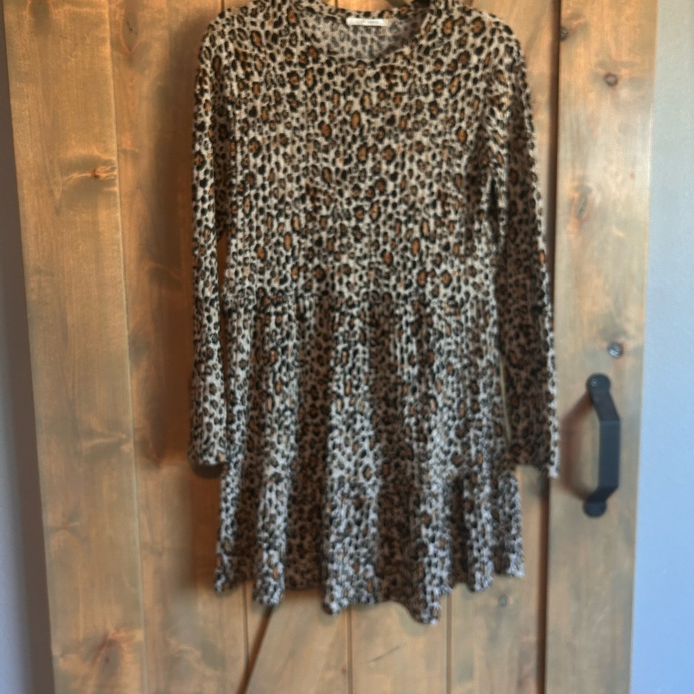 Zara Leopard Print Long Sleeve Dress